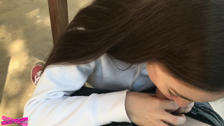 Модель Solazola