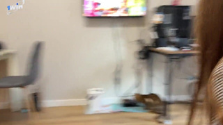 жесткое порно
порно очень грубо
очень жестокий секс
порно ролики жесткое
жестко трахнул красотку
очень жесткий секс видео
смотреть бесплатно жесткое порно
жестокое порево
очень сильно трахает
грубо выебал
жесткое порно видео бесплатно
жесткое парно
порево жестко
смотреть жесткое порно
трах жесть
смотреть жесткую порнуху
жесткий секс видео
порно жесткий секс
порнуха жесткий секс
смотреть порно жесть
жесткая порнуха
секс жестко выебал
секс жестко грубо
порно видео жесткое
жесткое порно онлайн бесплатно
дикое порно
жестко выебал девушку
жестко трахнул девушку
грубая порнуха
порно жестко трахает
порно ролики жесть
жесткий секс
видео про жесткий секс
порно дикий секс
очень жесткий секс
сильное порно
порно жестокое
посмотреть жесткое порно
жестко отымел
эротика жесткий секс
лучшее жесткое порно
порно жестко красиво
бешеная ебля
жесткое порно ххх
самая жесткая порнуха
жесткая ебля
бешеное порно
порнуха жестко
грубый секс
порно жестко выебал
жестко трахнул
смотреть жесткое порно видео
ххх жестоко
жесткий грубый секс
жесткое порево
секс очень сильно
секс порно грубо
беспощадный секс
порно супер жесть
дерзкий секс
эротика жесть
порно трах жестко
убойное порно
грубо трахает
очень жесткое порно
жесткая порнография
порно жесть бесплатно
порно ебля жесть
порно жестко долбит
секс видео жесть
порно видео грубо
смотреть жесткое порно онлайн
жесткое поро
очень жесткий секс порно
жесткое порно с красоткой
смотреть бесплатно порно жесть
очень грубый секс
ххх грубый
грубая ебля
смотреть секс жестко
парнуха жесткая
жестокий секс
секс грубо
посмотреть жесткий секс
смотреть порно жестокое
жестко трахнул сучку
жестко трахает
жесткий секс бесплатно
порнуха жесткая ебля
трахаться жестко
страстный грубый секс
лютое порно
поставь жесткое порно
порно жесткое грубое
жесткий секс с девушкой
трахни меня жестко
жестко выебал
секс порно жесть
лютый секс
порно новое жесткое
смотреть бесплатно очень жесткое порно
жесткий секс смотреть бесплатно
жестокая ебля
порно бесплатно жестко
жестко ебут
грубый секс видео
смотреть порно жестоко
смотреть грубое порно
ххх жесткий секс
дикий секс
дикая ебля
секс очень жестко
жестокая эротика
самое грубое порно
порно жесть
секс жестко трахнул
порно дичь
sex жесткий
жестокое порно видео
покажи жесткий секс
жесткое порно бесплатно
порно онлайн жесть
жестоко выебал
грубый трах
дерзкое порно
тяжелое порно
бешеный секс
бешеный трах
порно видео онлайн жесткое
смотреть очень жесткое порно
ххх грубо
видео 18 жестко
смотреть порно жестко
секс порно жесткий трах
ххх жесть
ххх очень жестко
секс жестко
порно грубое
очень жесткая порнуха
очень грубое порно
порнуха жесть
красивый жесткий секс
seks joski
зверское порно
мощный секс
удар секс
порно бешеный секс
порно фильмы жесть
смотреть жестокий секс
включи жесткую порнуху
девушку жестко ебут
сильный трах
порно долбежка
самый жесткий секс в мире
жесткое американское порно
порно страстное грубое
порно жестокость
жесткая порнушка
секс жесть
жесткая эротика
жестко оттрахал
жесткая п
жесткое порно hd
порно ролики жестко
порно очень сильно
жесткое порно в киску
реальное жесткое порно
ебут жестоко
хардкорное порно
жестко трахнул свою девушку
порно видео грубое
очень жестко ебут
порно жестко оттрахал
самое жесткое порно
секс долбит
порнушка жесть
порно видео жесткое смотреть бесплатно
самая жесткая ебля
жестокая порнуха
смотреть жесткий секс
сильный секс
порно грубо
порно онлайн жестко
жесткое порно молодых
жестко отъебал
порно беспредел
жесткий секс с красоткой
жесткий секс молодой пары
тяжелый секс
жесткое траханье
дикий трах
грубо ебут
жесткие порнофильмы
жесткий быстрый секс
сами жоски секс
ххх жестко
жесткое порно в пизду
порно грубый секс
жесткий трах видео